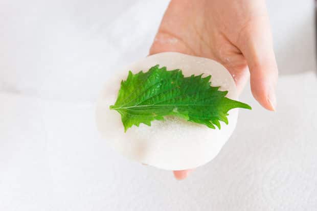 A shiso leaf on a gyoza wrapper.