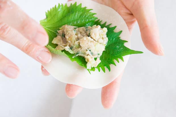 A filled gyoza ready to fold.