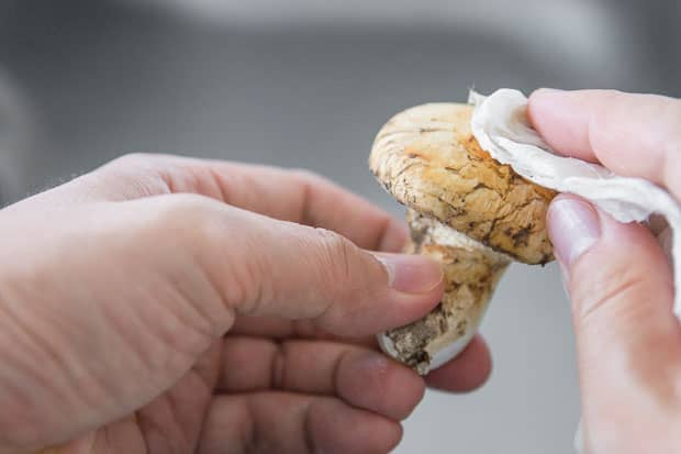 Cleaning the matsutake mushrooms.