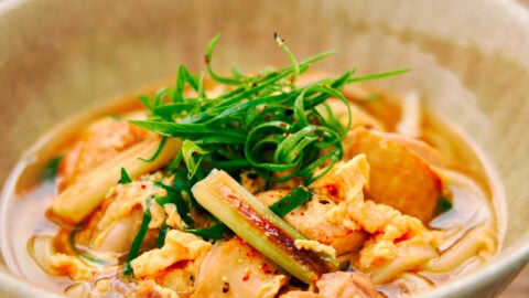 Chicken egg and caramelized scallion udon noodle soup.