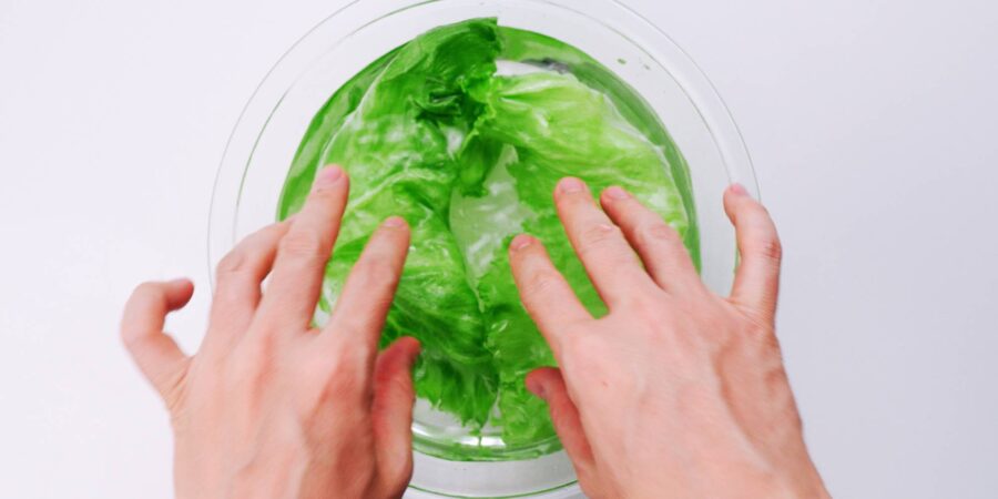 Soaking lettuce in cold water to crisp.