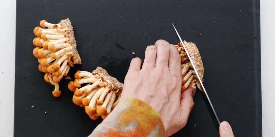 Trimming growing medium from a cluster of Japanese mushrooms (nameko)